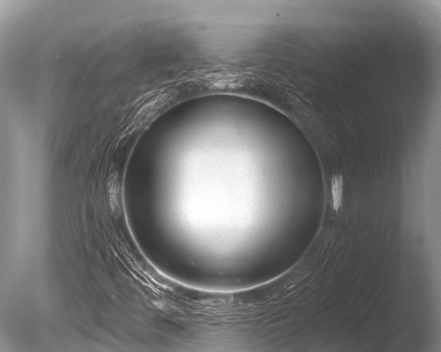 X0000086051444200703301053