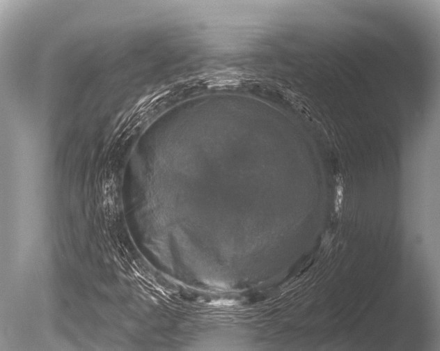 X0000086051445200703301053