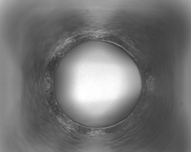 X0000086051447200703301053