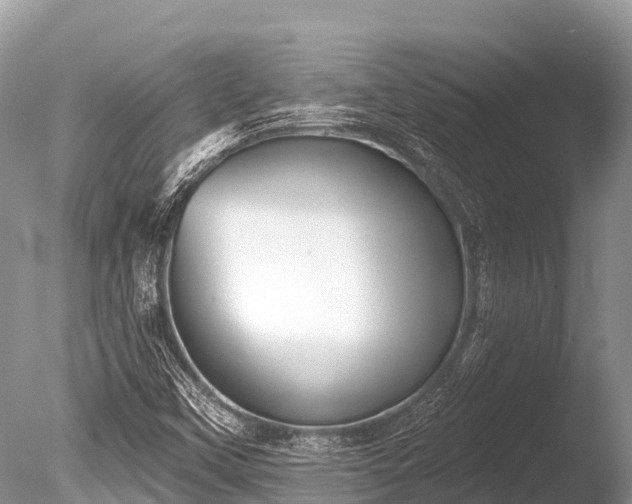 X0000086051451200703301053