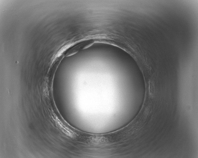 X0000086051452200703301053