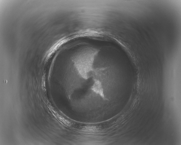 X0000086051455200703301053