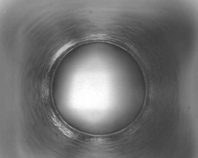 X0000086051458200703301053