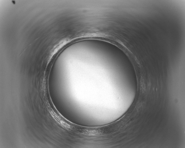X0000086051460200703301053