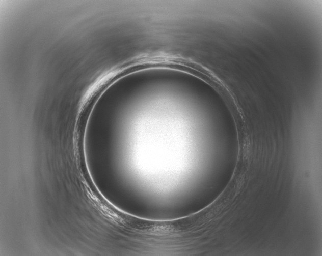 X0000086051464200703301053