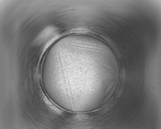 X0000086051466200703301053