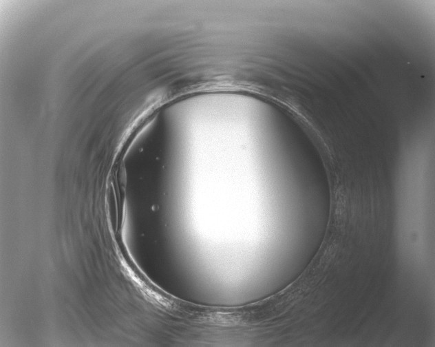 X0000086051476200703301053