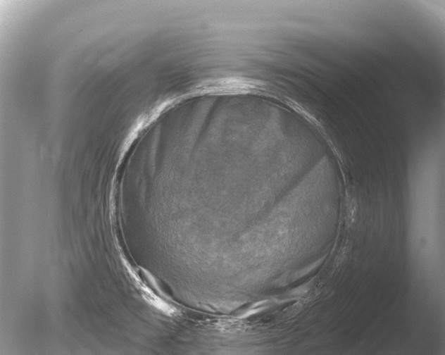 X0000086051477200703301053