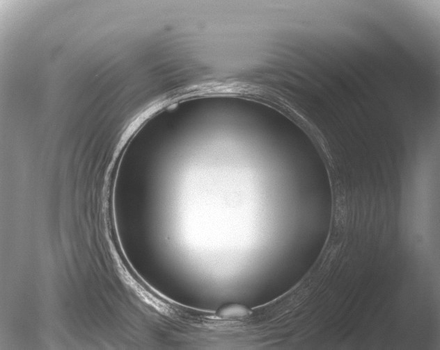 X0000086051483200703301053