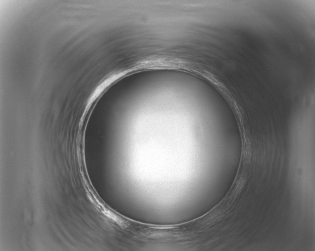 X0000086051486200703301052