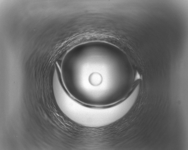 X0000086051492200703301052