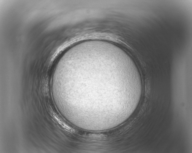 X0000086051498200703301052