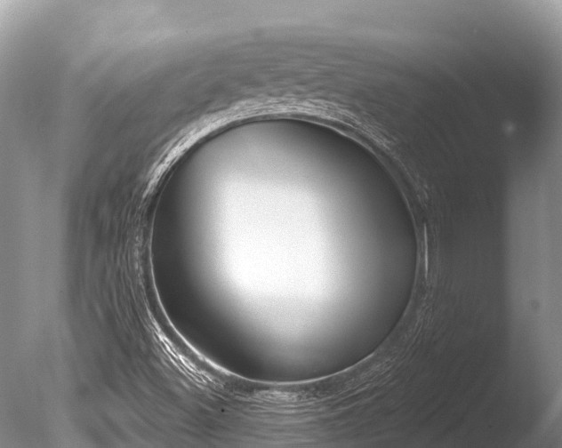 X0000086051500200703301052