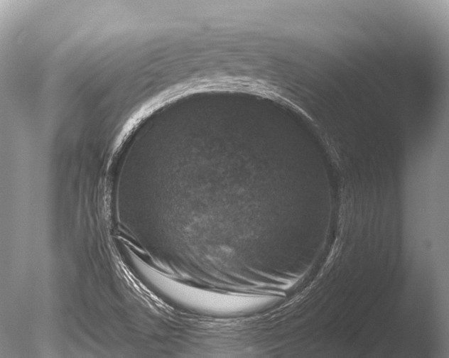 X0000086051506200703301052