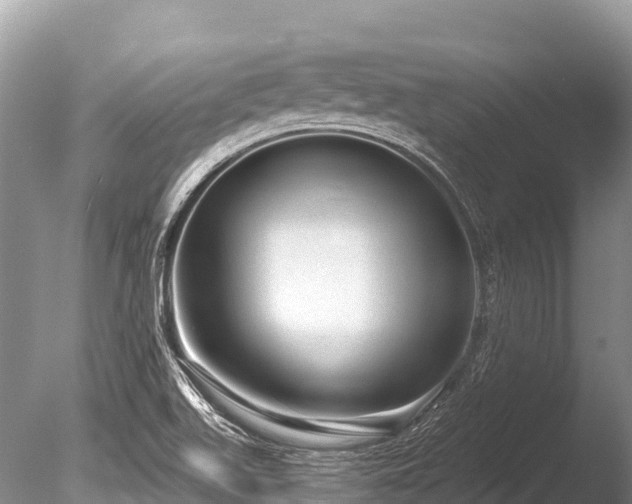 X0000086051511200703301052