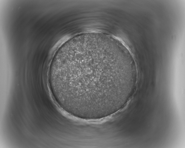 X0000086050001200704091218