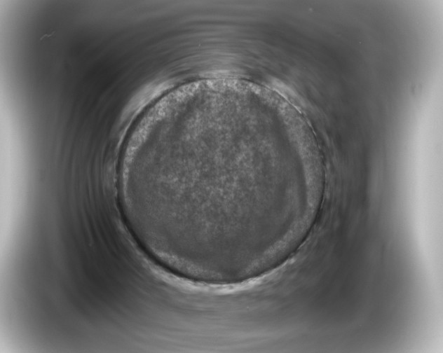 X0000086050002200704091218