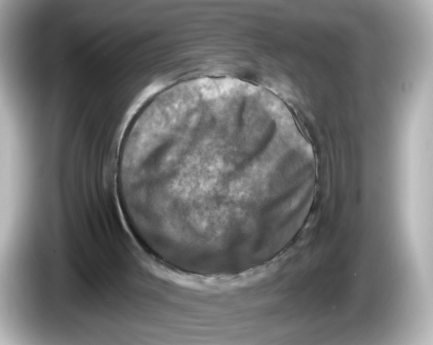 X0000086050003200704091218