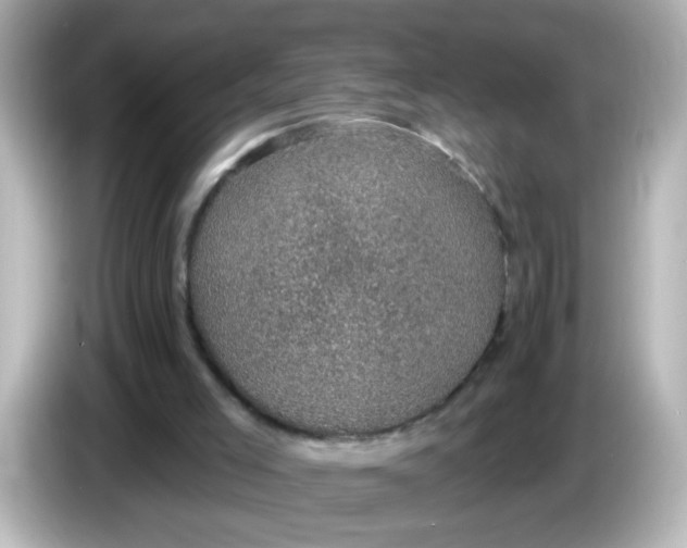 X0000086050005200704091218