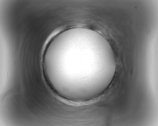 X0000086050006200704091218