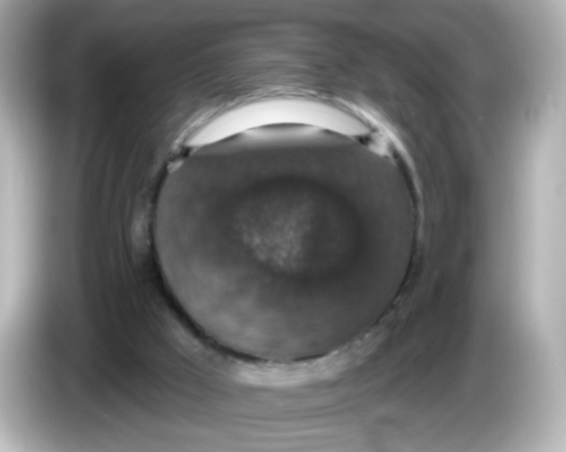 X0000086050009200704091218