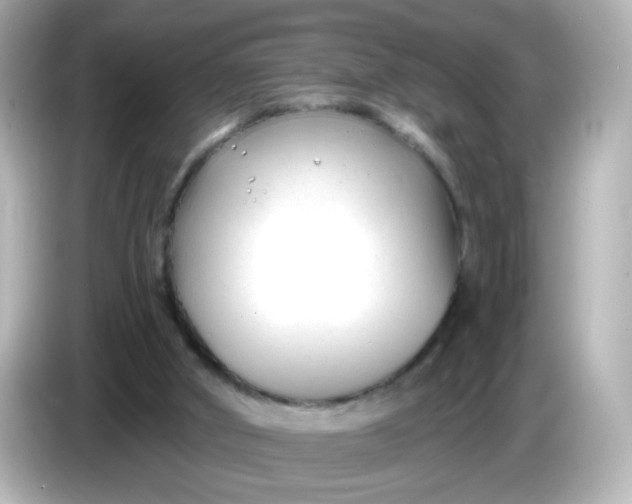 X0000086050010200704091218