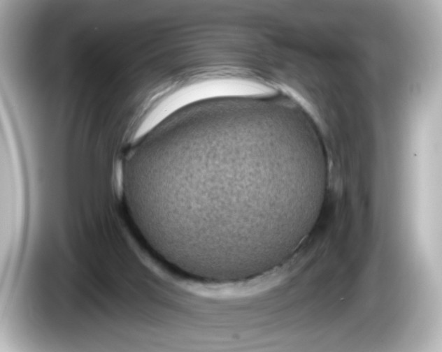 X0000086050013200704091218