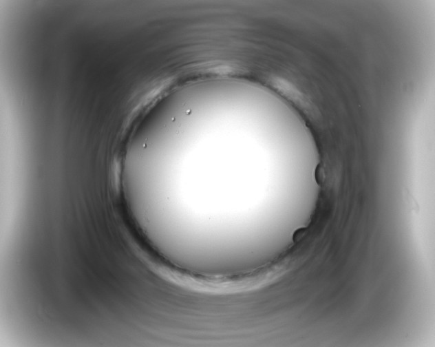 X0000086050014200704091218