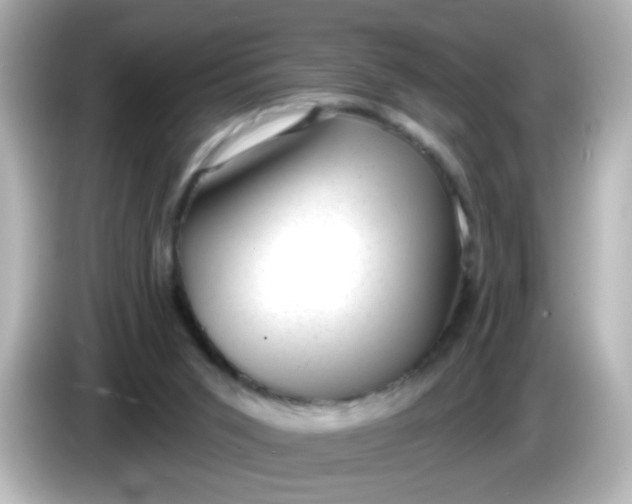 X0000086050015200704091218