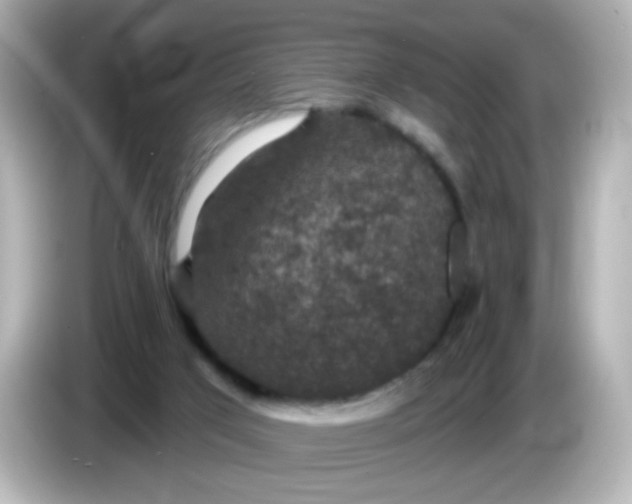 X0000086050017200704091218