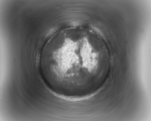 X0000086050018200704091218