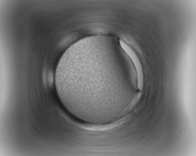 X0000086050021200704091218