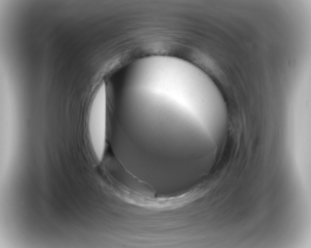 X0000086050023200704091218
