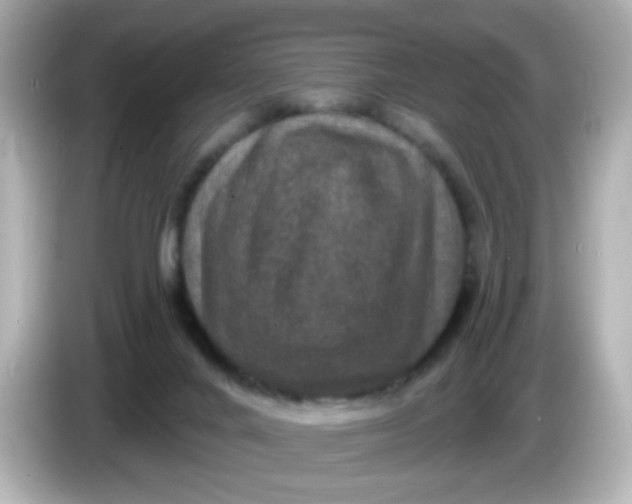 X0000086050024200704091218