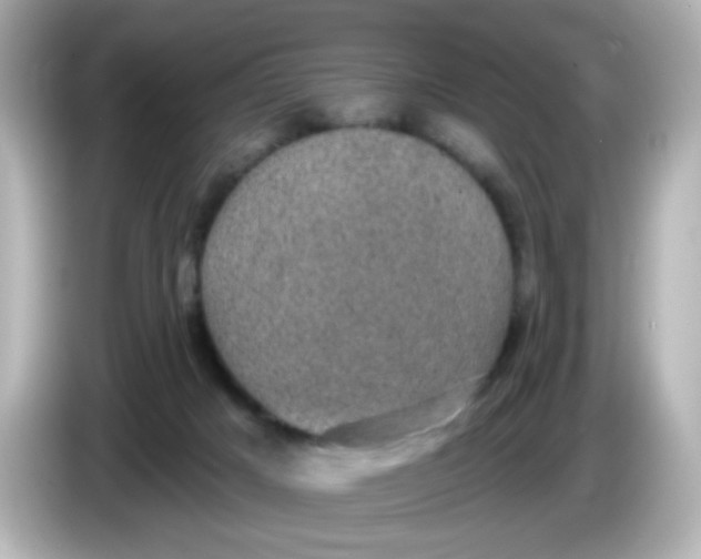X0000086050025200704091218