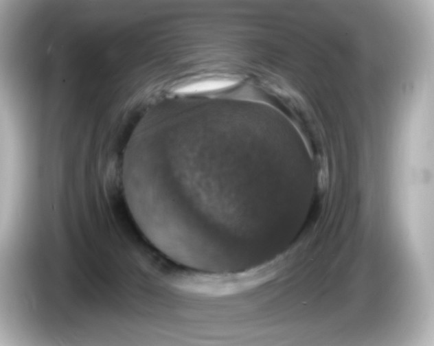 X0000086050029200704091217
