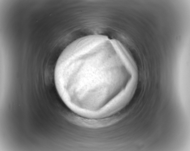 X0000086050030200704091217