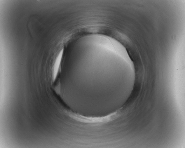X0000086050031200704091217