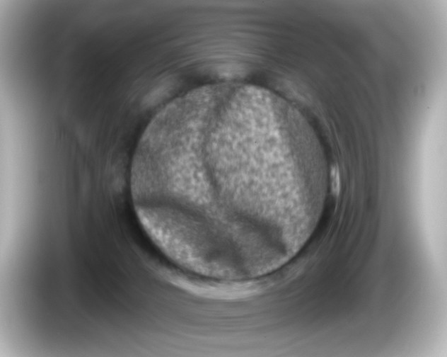X0000086050032200704091217