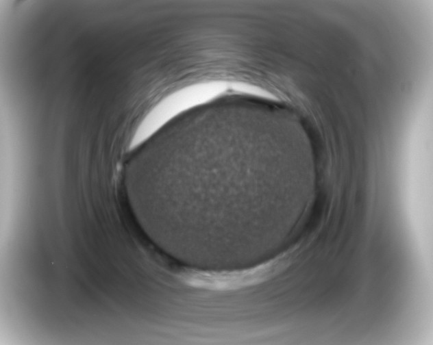 X0000086050033200704091217