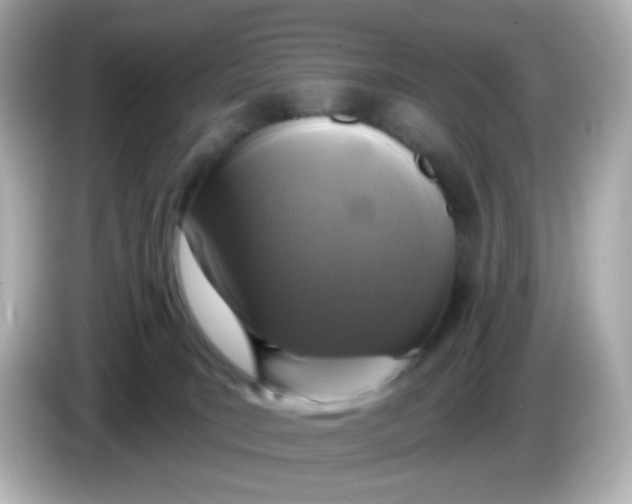 X0000086050035200704091217