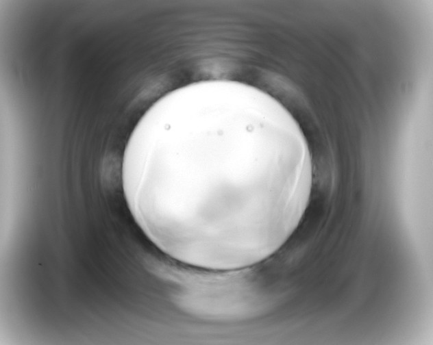 X0000086050036200704091217
