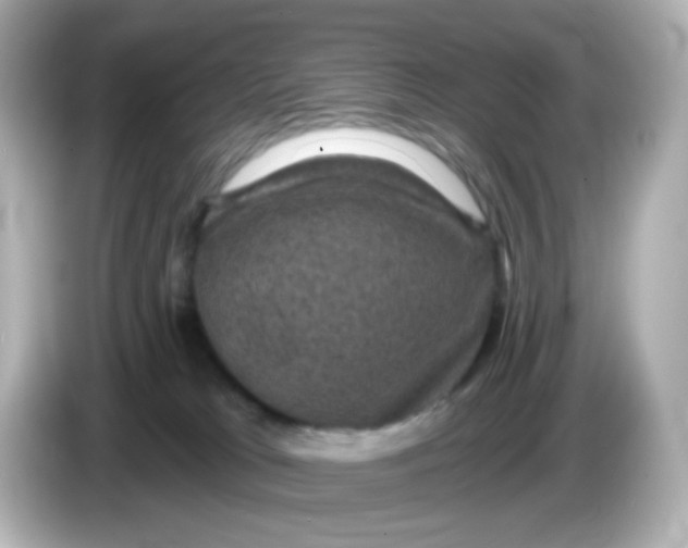 X0000086050037200704091217