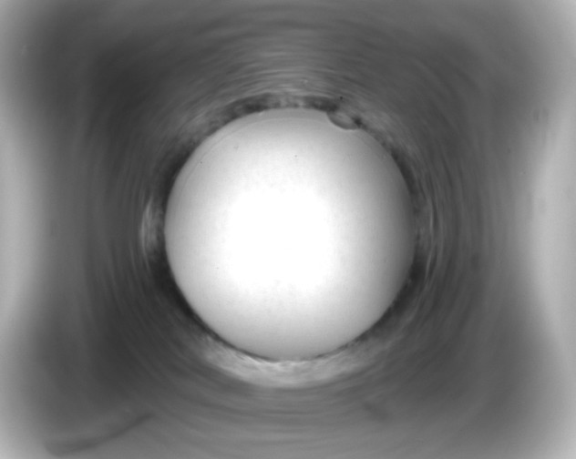 X0000086050038200704091217