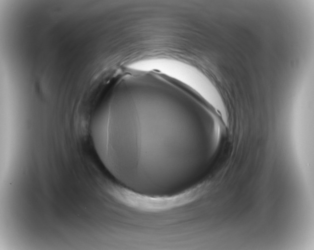 X0000086050039200704091217