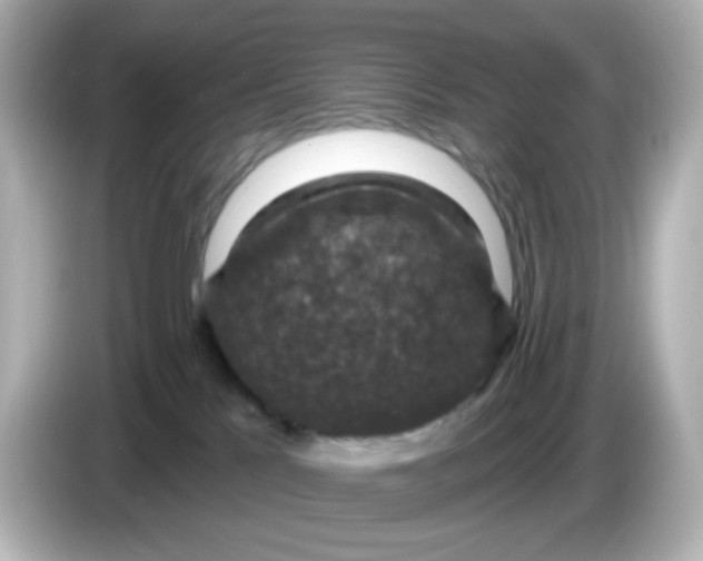 X0000086050041200704091217