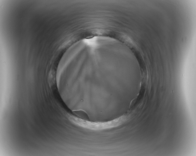 X0000086050043200704091217