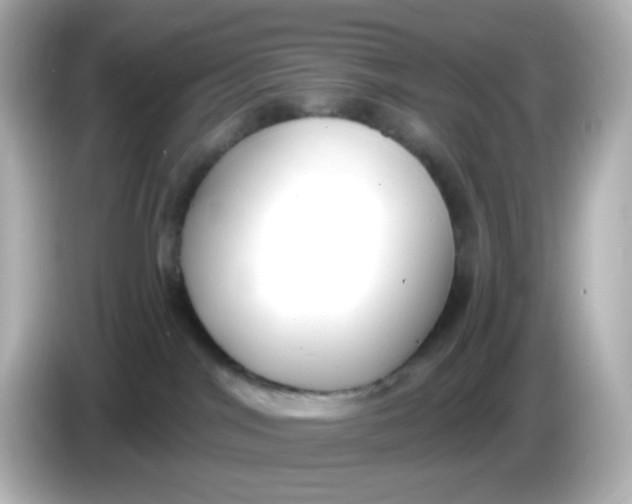 X0000086050044200704091217
