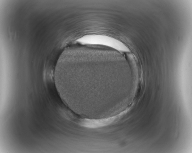 X0000086050045200704091217