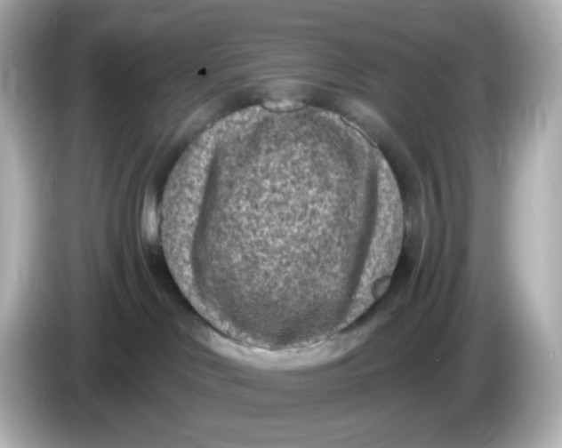 X0000086050046200704091217
